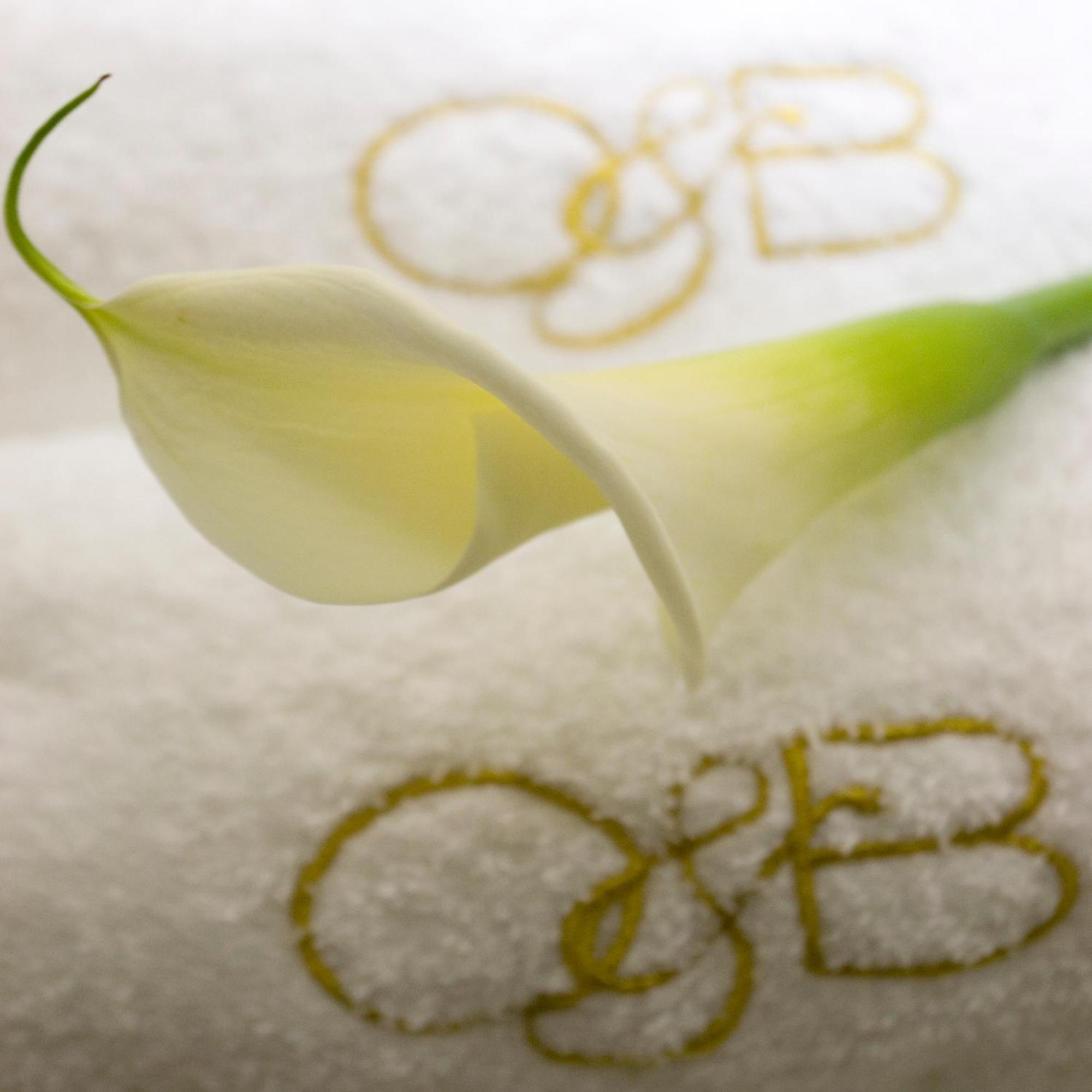 מלון O&b Boutique 4*
