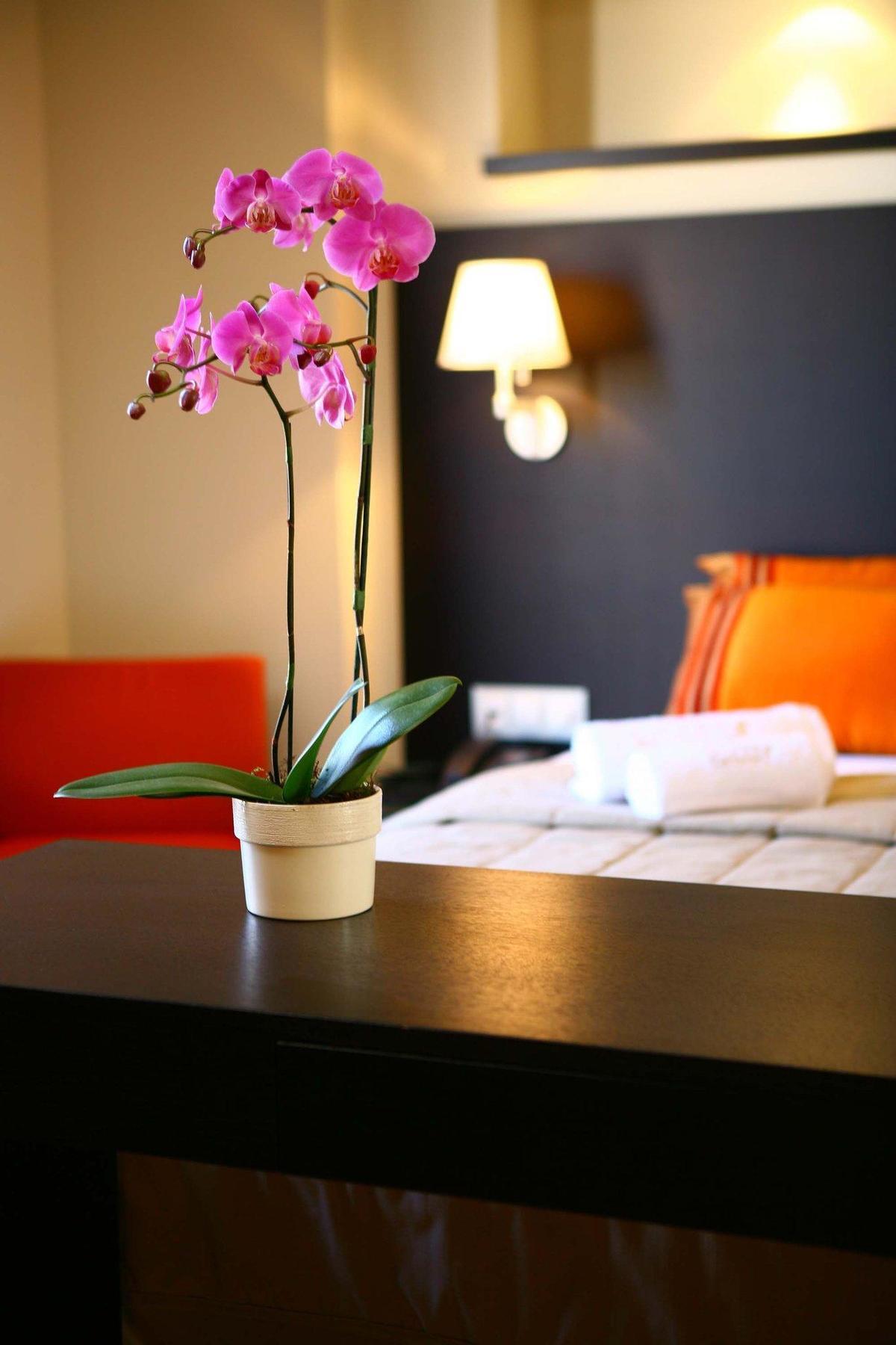 O&b Boutique Hotel